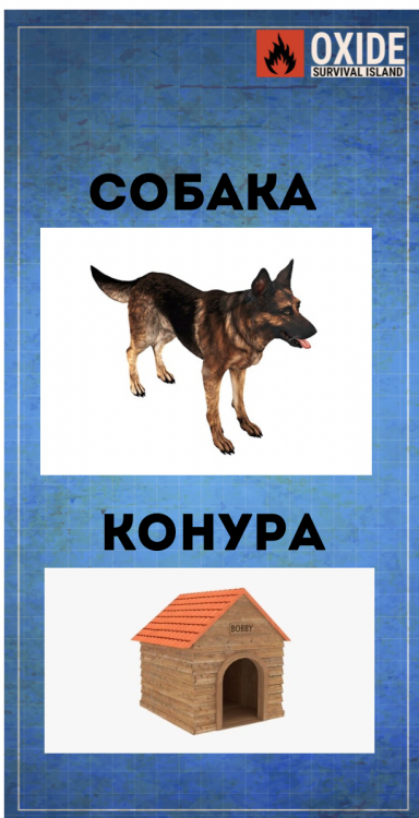 СОБАКА.png