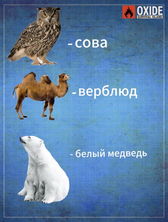 IMG_0780.jpeg