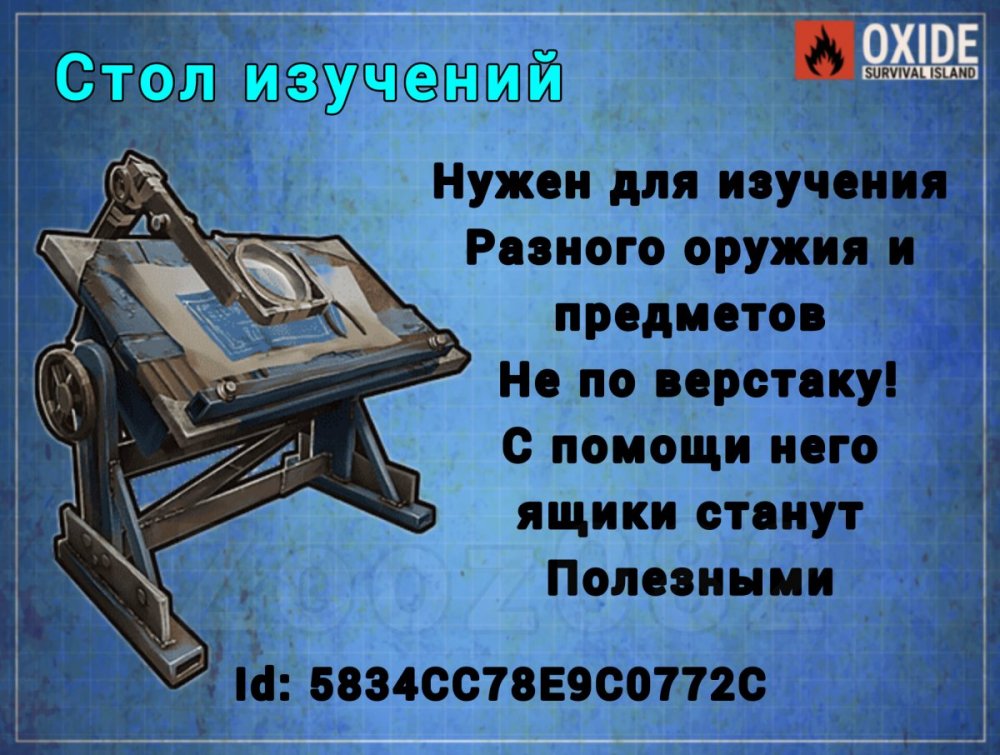 InShot_20250227_200512654.jpg